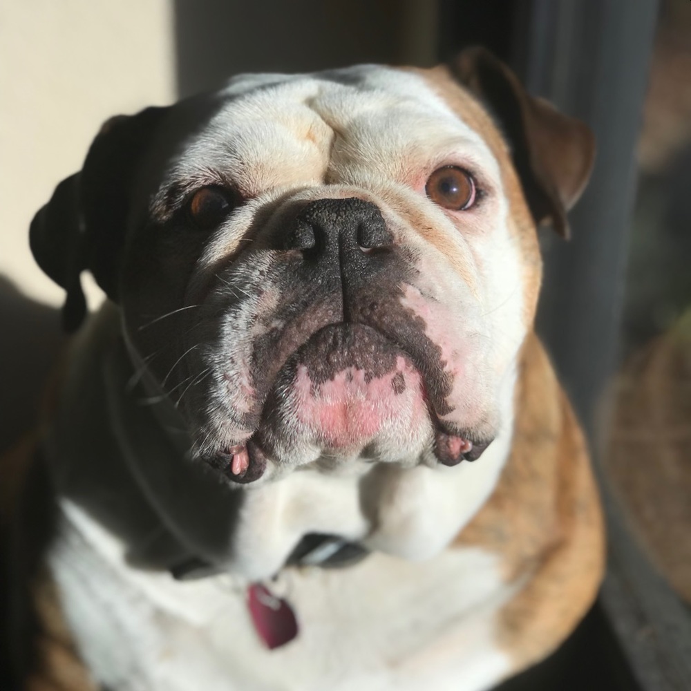 Meet your Posher, Deborah